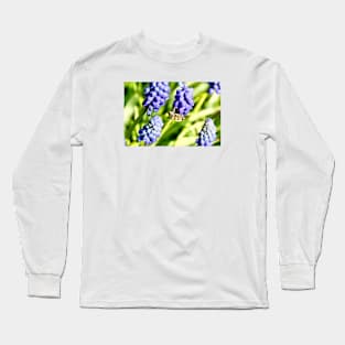 Honey bee X / Swiss Artwork Photography Long Sleeve T-Shirt